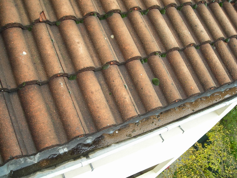 traitement terrasse toiture